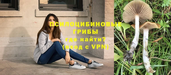 мет Баксан